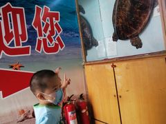 -贝壳王国博物馆