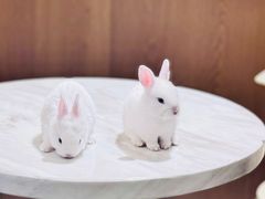 -大象厨房(重庆道店)