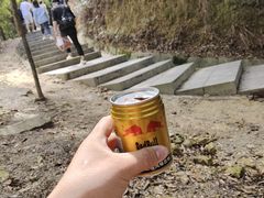 -银瓶嘴森林公园