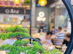 -喜上喜鸡煲翅(吉大店)