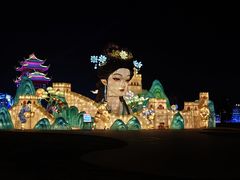-淄博花灯齐彩城