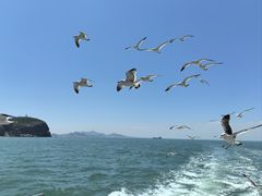 -海驴岛(荣成市)