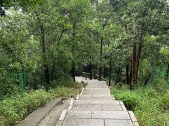 -红花山公园