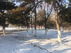 -沈阳中山公园