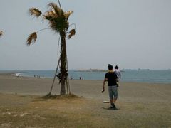-小麦町租车坊