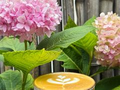 -唐咖精品咖啡(大理古城手冲店)