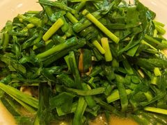 韭菜炒毛蚶-喜来酌海鲜·饺子(和平一店)