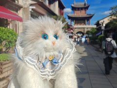 -巍山古城