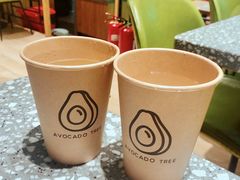 -油梨树AVOCADO TREE(望京店)