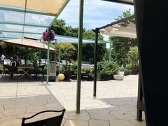 -龙猫意杯花园餐厅(芙蓉湖店)