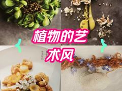 -真地道京味府·鲜橙烤鸭·北京菜(朝外大街东大桥店)