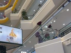 -野人先生Gelato(上海长宁龙之梦店)