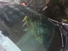 -车艺尚上海龙膜隐形车衣汽车贴膜旗舰店