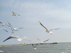 -老虎石海上公园