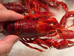 -红盔甲·小龙虾(天钥桥店)