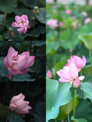 -大望京儿童游乐场