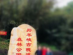 -羚羊峡古栈道森林公园