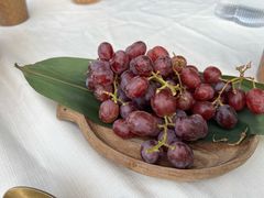 -龟兹KUCINA·新疆菜(前滩L+PLAZA店)