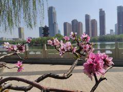 -迎泽公园