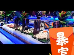 -加餐海鲜自助(宝龙一城店)