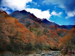 -光雾山旅游景区