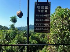 -呀诺达热带雨林