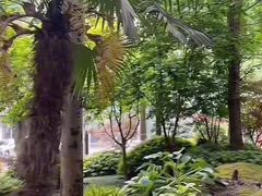 -徐家汇源景区-衡山坊