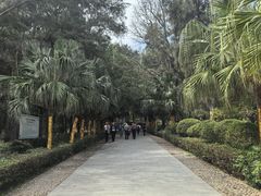 -宋井风景区