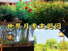 -大兴世界月季主题园
