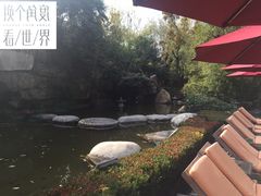 -西安国际创新人才交流中心•药浴温泉
