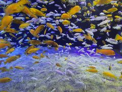 -成都浩海立方海洋公园