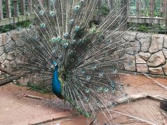 -美的鹭湖探索王国