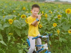 -光明小镇欢乐田园