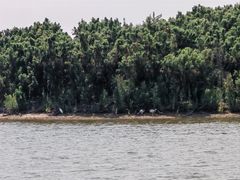 -南大港湿地风景区