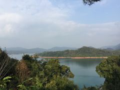 -广州市流溪河国家森林公园
