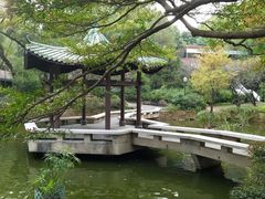 -九龙公园