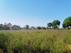 -歌斐颂巧克力小镇