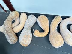 -小陆莲花蟹园农家乐(莲花岛店)