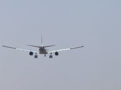 -空港花田景区