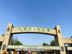 -北京野生动物园