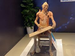 -生命奥秘博物馆