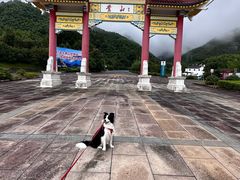 -黄山翡翠谷景区