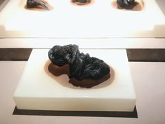 -河姆渡遗址博物馆