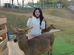 -盈香心动乐园