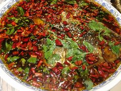 杨记招牌鱼-杨记隆府(时代天街店)
