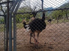 -西安秦岭野生动物园