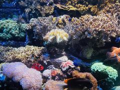 -亚特兰蒂斯水世界冒险乐园