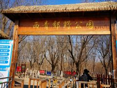 -西青郊野公园