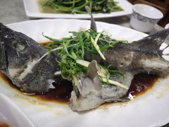 石斑鱼清蒸-四川小胡子海鲜(丁村万人海鲜广场店)