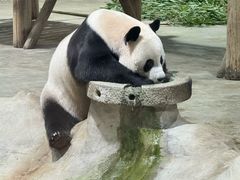 -栾川竹海野生动物园